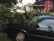 Nevrijeme, Foto: Vatrogasci grada Osijeka/Vatrogasci grada Osijeka