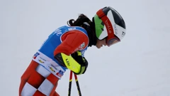 Zrinka Ljutić