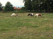 Ökopark Krašograd, Foto: Antunela Rajič/-