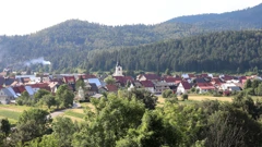 Panorama Delnica