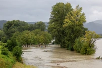 Austrija, Foto: Lisa Leutner/Reuters
