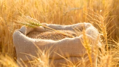 Dunavske zemlje traže veću sigurnost plovidbe i transporta ukrajinskih žitarica