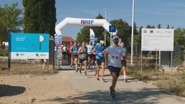 Polumaraton