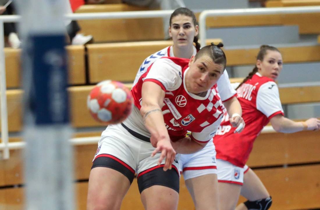 jezic katarina 20241201153952
