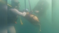 Šibenik: Policijski ronioci iz mora izvlače dvije avionske bombe, Foto: HTV/HRT