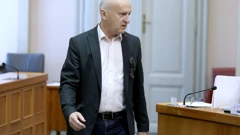 Predrag Matić