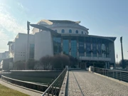 Festival u Mađarskoj, Foto: Neda Maretić//