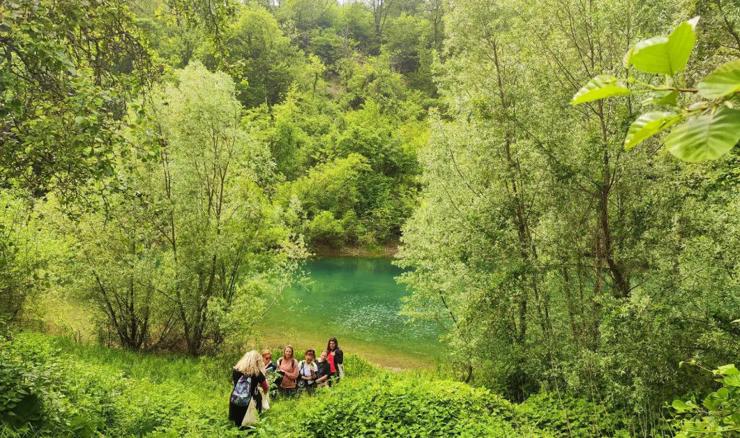 Travarica: o čajevima, šumu u ušima, korovu u vrtu i ličkim kravama