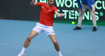 Mate Pavić