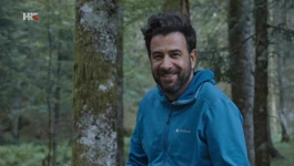 Janko Popović Volarić 