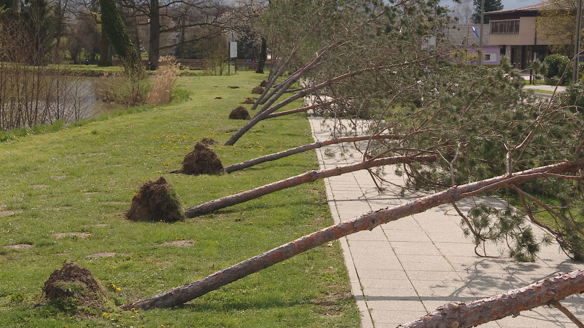 jaska elementarna nepogodatransfer frame 2739 20260331153942