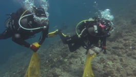 More skriva svoje tajne, ali i smeće