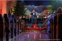 Alen Đuras , Foto: Miroslav Šlafhauzer /Grad Vukovar