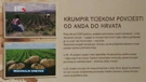 Muzej krumpira