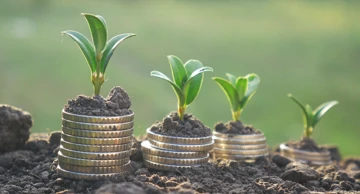 Greenfield investicija