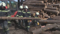 Vježba žurnih službi