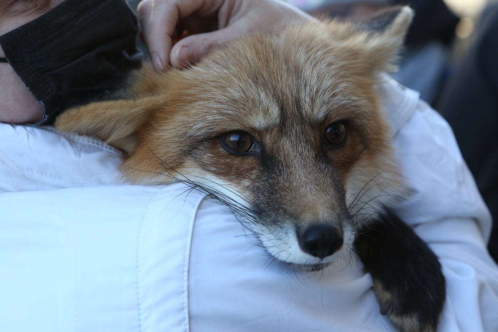 shutterstock 2072348462 20260417091212