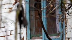 Kuća Marije Mušice, Foto: Odjel Web i multimedija/HRT