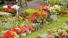 Na Bundeku počela 59. Međunarodna vrtna izložba Floraart