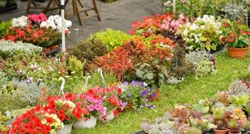 Na Bundeku počela 59. Međunarodna vrtna izložba Floraart