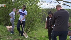 Uzgoj kultura na biodinamički način