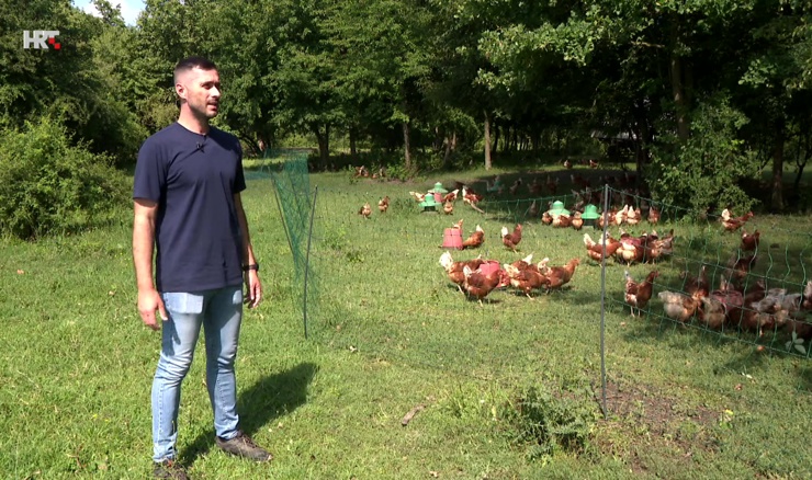 Izabrao sporiji život i izgradio uspješnu regenerativnu farmu