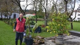 Hubert Kruljac i stablo banane