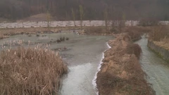 Dabrovi ugrožavaju infrastrukturu, Foto: HTV/HRT