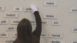 Muzeji na jeziku publike
