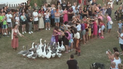 Renesansni festival