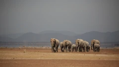 Četvrtak, 16. srpnja na Prvom , Foto: Planet Zemlja III/dokumentarna serija 