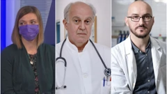 Vesna Višekruna Vučina, Ivo Ivić, Ilija Brizić