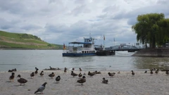 Rijeka Rajna