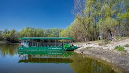 Kopački rit