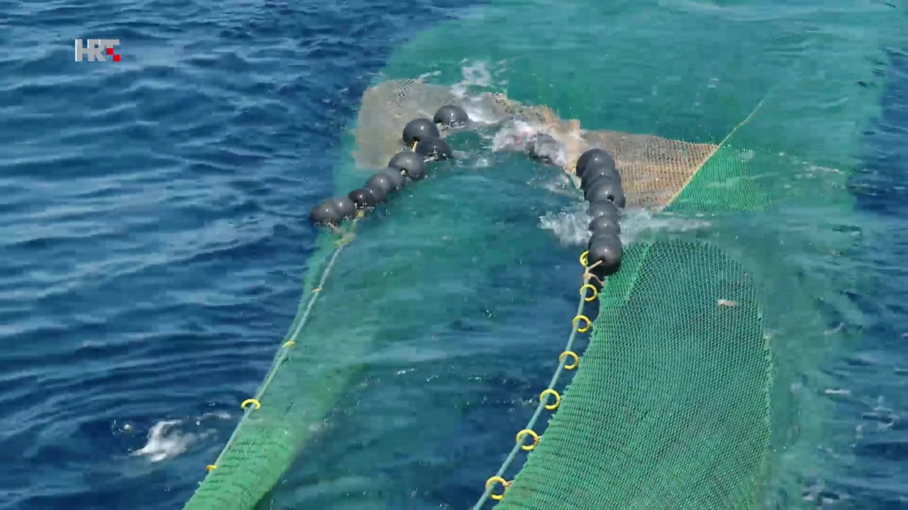 Zaštićena Jabučka kotlina, Foto: Plodovi zemlje/HRT