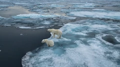 Klimatske promjene sve vidljivije
