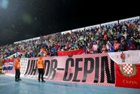 Hrvatski navijači u Gradskom vrtu, Foto: Luka Stanzl/PIXSELL