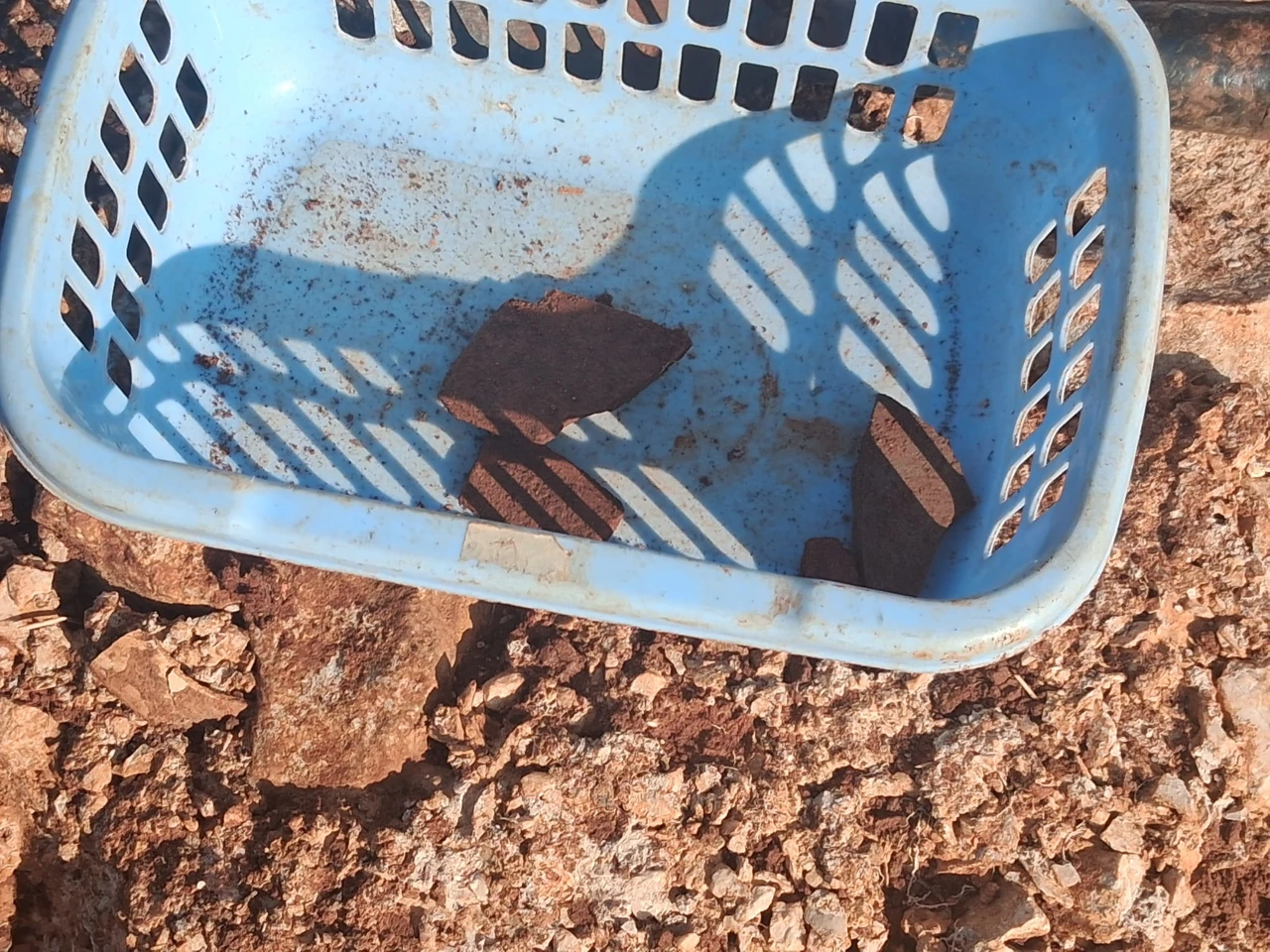 istraživanje , Foto: FB//