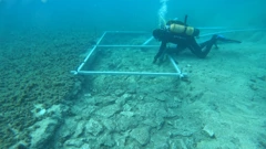 Potopljeni ostaci ceste stare gotovo 7000 godina