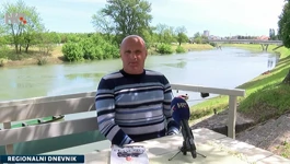 Alenko Ribić - policajac, ratnik, spisatelj