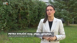 Petra Sviličić