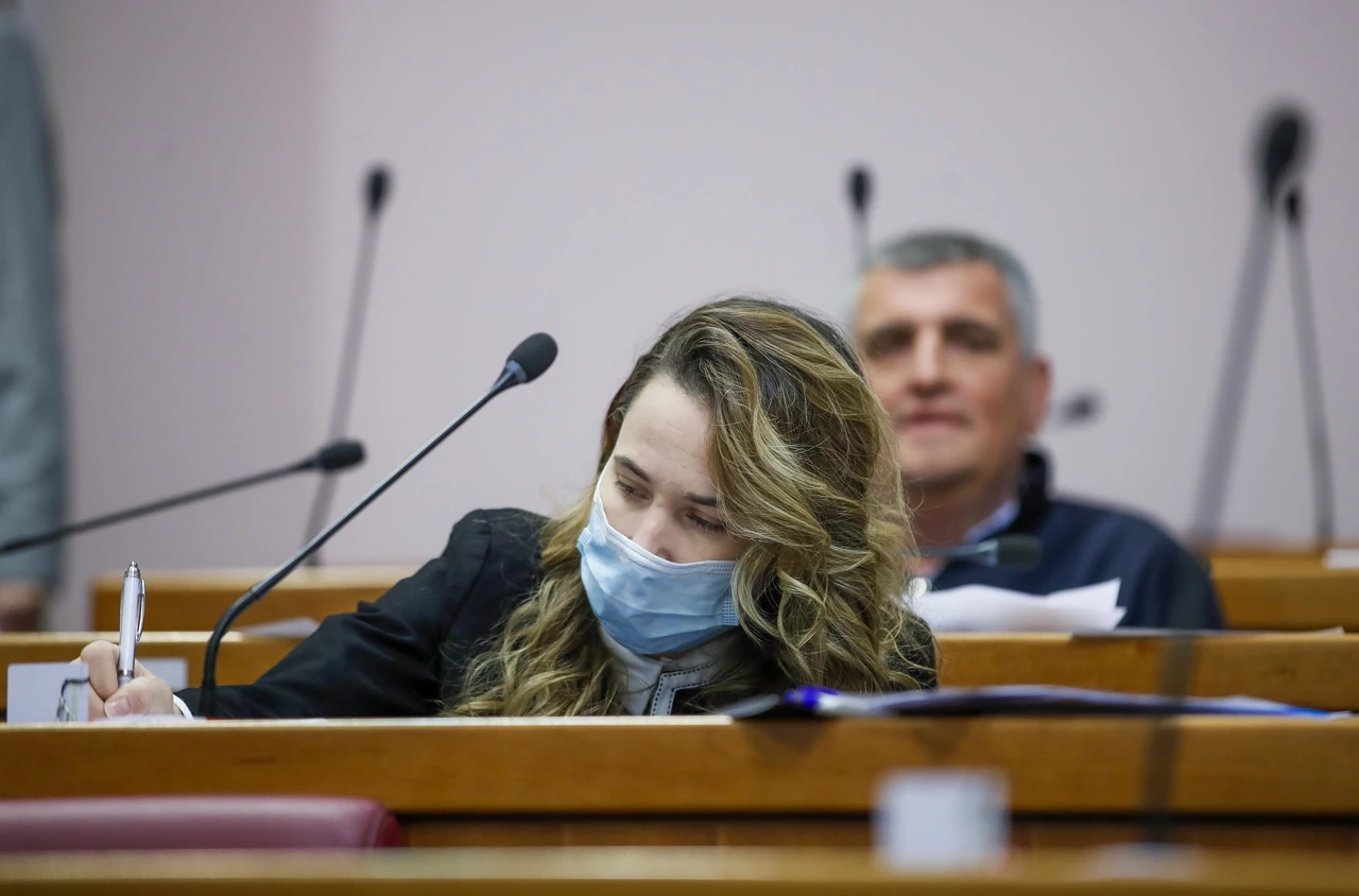 Rasprava o izmjena Zakona o zaštiti pučanstva od zaraznih bolesti 