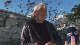 Mira Galešić