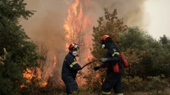 Vatrogasci u gašenju požara