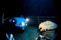 Titanic, Foto:  WHOI Archives/Woods Hole Oceanographic Institution/Reuters