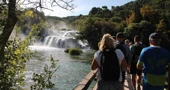 N. P. Krka