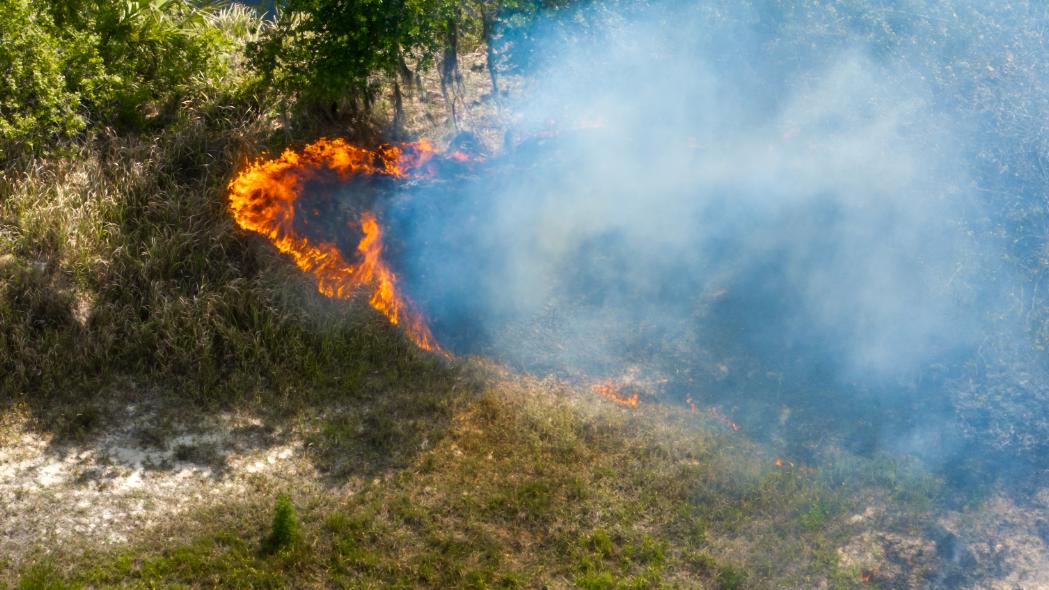 Lokales Feuer in der Nähe des Vrana-Sees 1 pozar12312 20250719141022