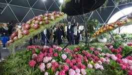 Floraart: Zadnji dan cvjetnog raja
