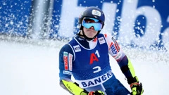 Filip Zubčić