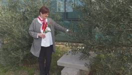 Višnja Žepina